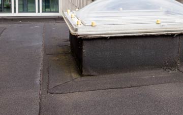 disadvantages of Durisdeer flat roofs
