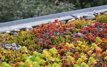the cost of Durisdeer green roof installation