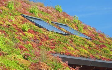 Durisdeer living roof systems