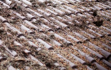 Durisdeer roof cleaning companies