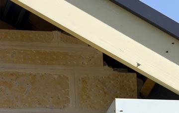 soffit repair Durisdeer