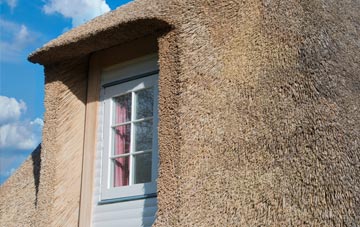 Durisdeer thatch roof disadvantages