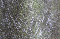 Durisdeer fibreglass roof work